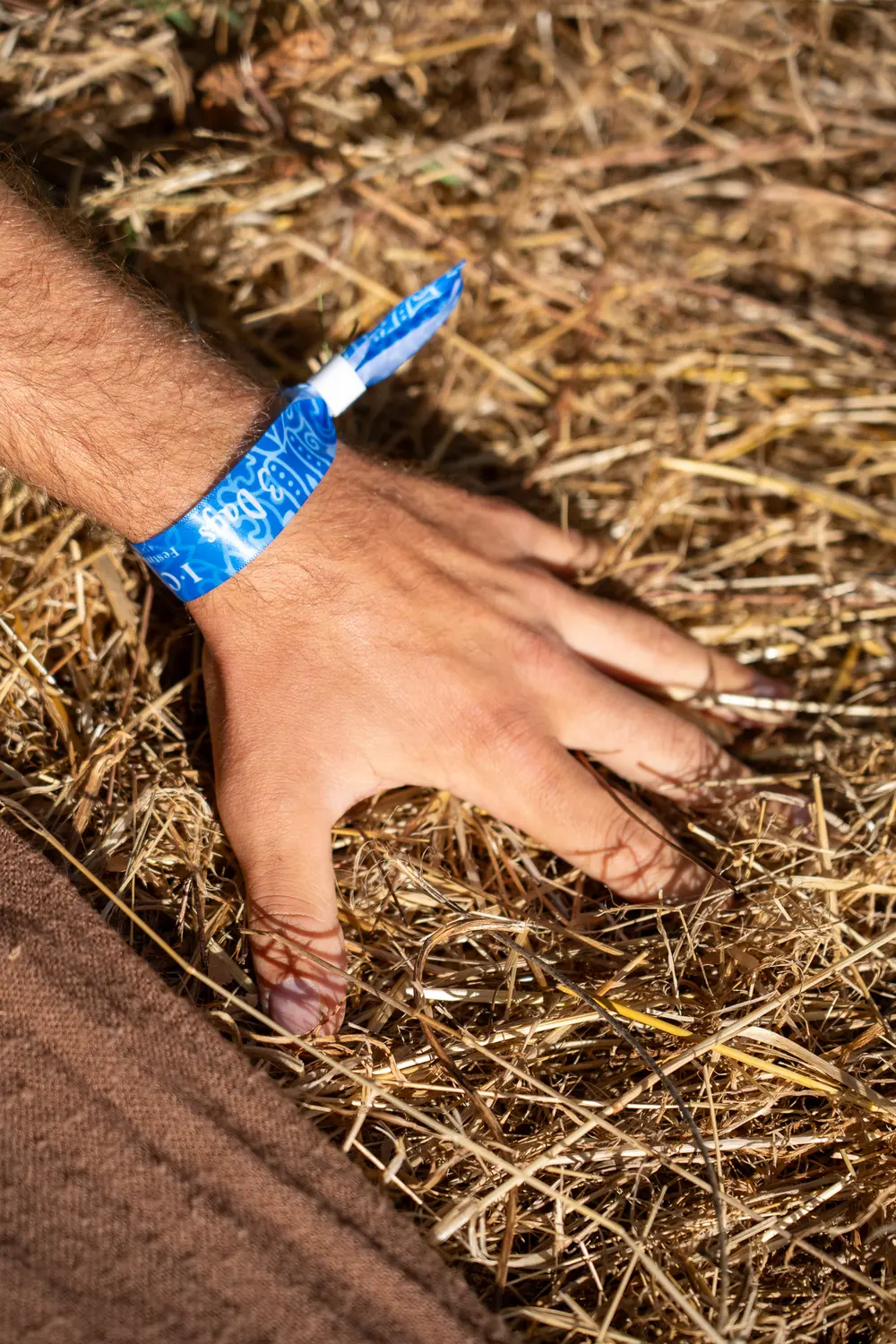 Tiago's hand resting in dry straw, a festival wristband on his wrist.