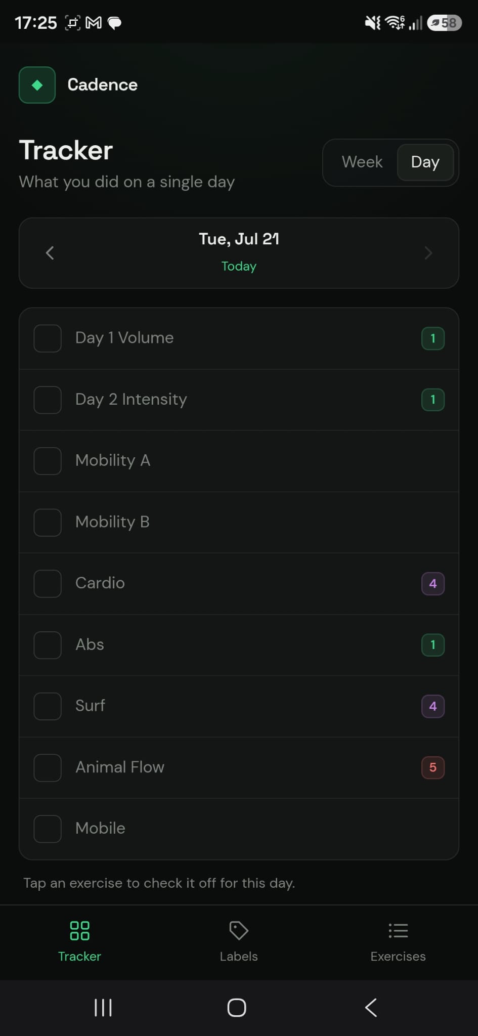 Personal Workout Tracker web app, a custom training log built for my own routine.